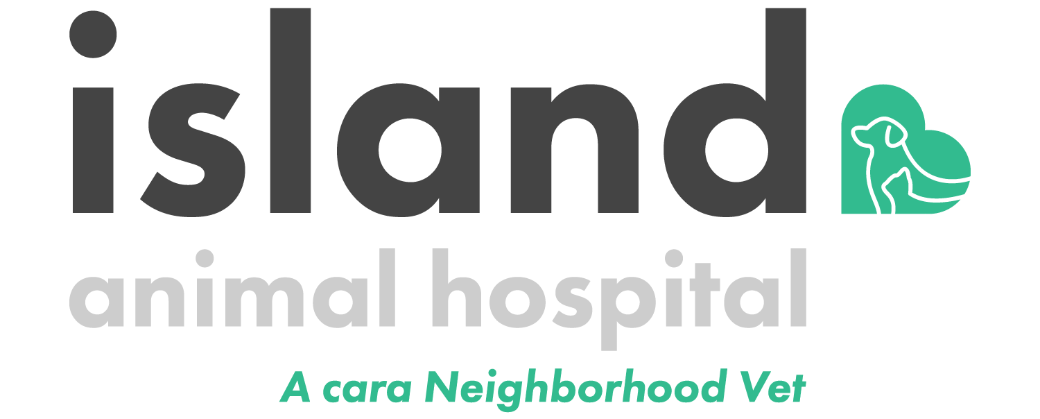Island Animal hospital