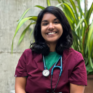 Vet doing a wellness exam on a little dog.