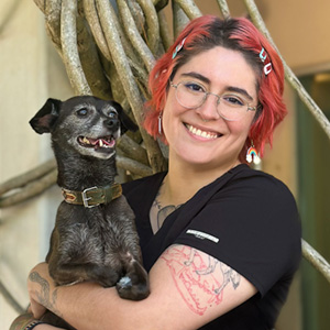 Vet doing a wellness exam on a little dog.